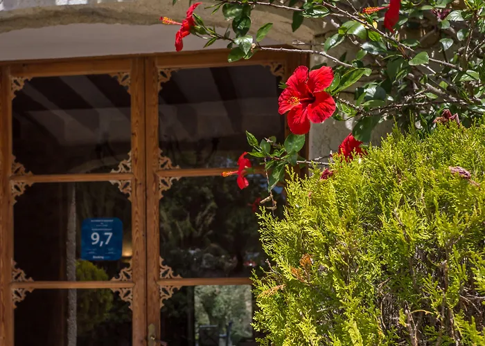 Finca Son Ametler